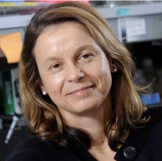 Geraldine Seydoux has been awarded the 2022 Gruber Prize in Genetics